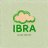 IBRA